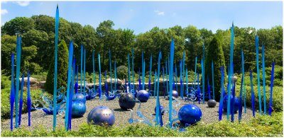 Chihuly  NY Botanical Gardens 13