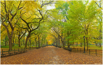 Autumn in Central Park