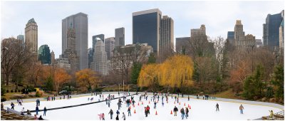 Wollman Rink Winter Panorama