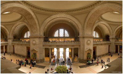 The Great Hall at the Metropolitan Museum of Art  2008c