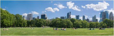 Spring in Sheep Meadow