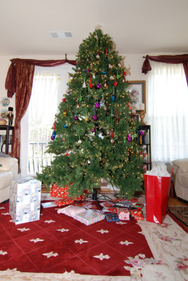 Christmas Alpharetta 2008