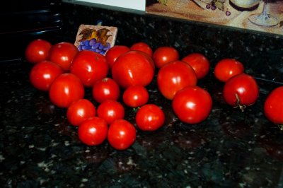 DSC_1121 Tomatoes.JPG