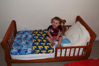 Julian has a new bed too DSC_3967.JPG