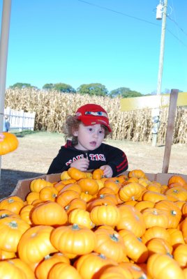 Aidan DSC_4167.JPG