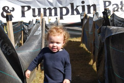 Julian Corn Maze DSC_4181.JPG