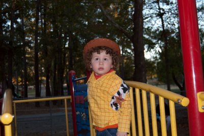 Aidan Sheriff Woody on Play Set DSC_4196.JPG