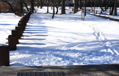 the park after the snow 1-14-2011 .jpg