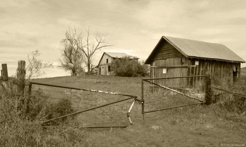 Palouse Homestead, Washington State