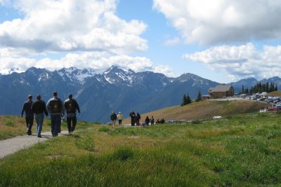 Hurricane Ridge View from trail 2