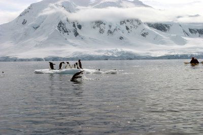 IMG_2754.jpg
