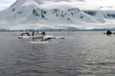 IMG_2755.jpg