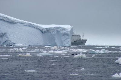 IMG_3110.jpg
