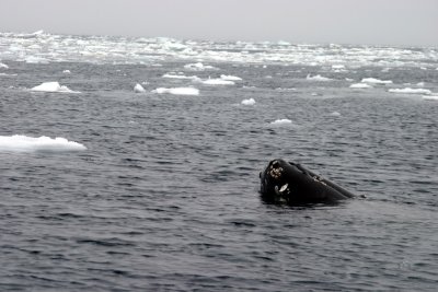 IMG_3134.jpg
