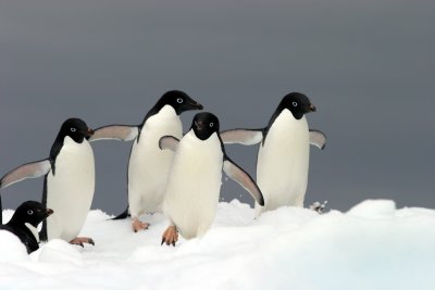 IMG_3872.jpg