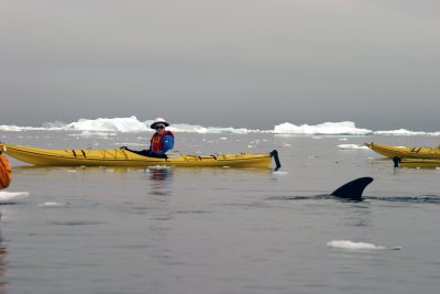 IMG_4880.jpg