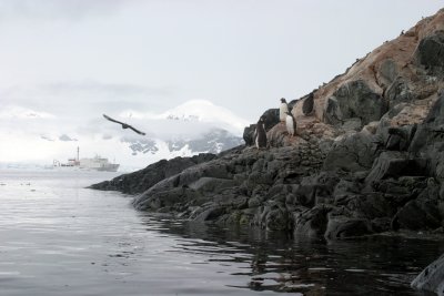IMG_5884.jpg