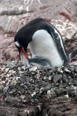 IMG_6015.jpg
