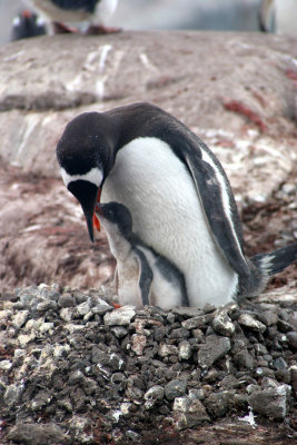 IMG_6018.jpg