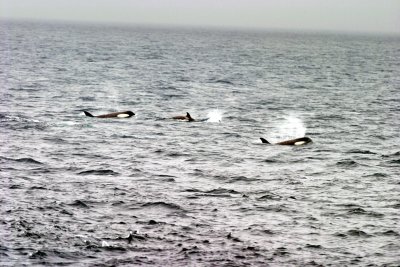IMG_6076.jpg