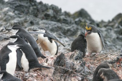 IMG_6508.jpg