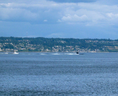 Yes!!! That's the submarine. It's quite common in here since Bangor Naval Submarine Base is just across the water from Seattle.