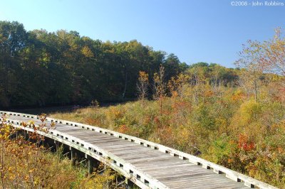 Wooden Bridge 3