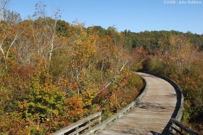 Wooden Bridge 2