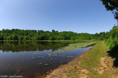 Fishing Pond