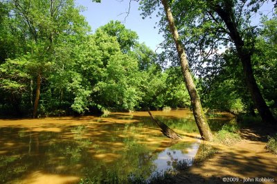 Patuxent River