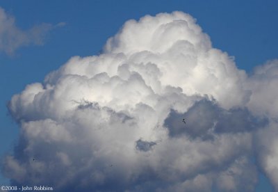 Cloud and Gulls
