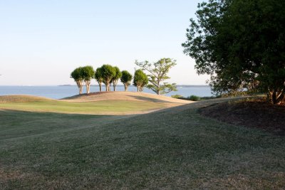 IMG_7008.jpg