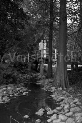 IMG_0144-2 web.jpg