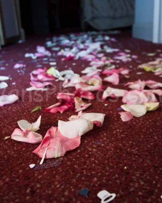 IMG_1529.jpg