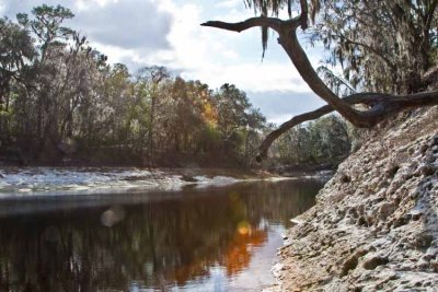 History - Suwanee River in Florida IMG_1738.jpg