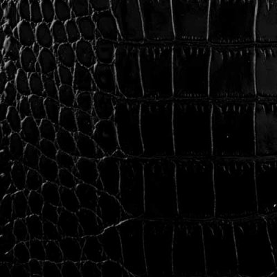 Embossed Crocodile_black500.jpg