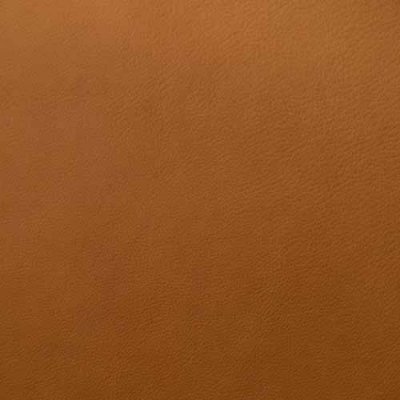 Premium Leather Album Cover Color Swatches