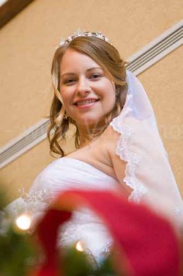 IMG_3329.jpg
