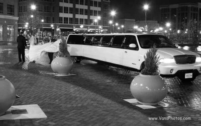 IMG_2943.jpg