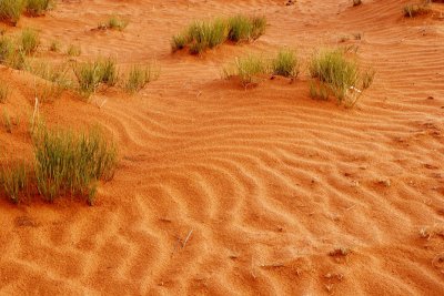 Desert waves