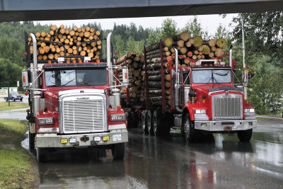 Two logging trucks