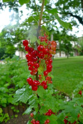 g1/89/408289/3/125450171.eUktvlvE.jpg