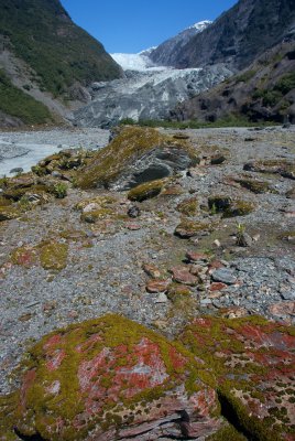 Franz Joseph Glacier