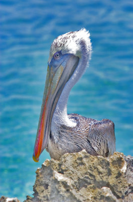 DSC_8160.jpg