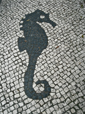 g1/89/469389/3/112048131.gk66rG7q.jpg