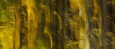 _DSC0774.jpg