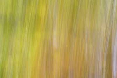 _DSC0796.jpg