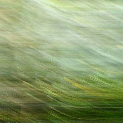 _DSC0809.jpg