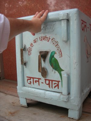 Jain Bird Hospital collection box, New Delhi (2008)