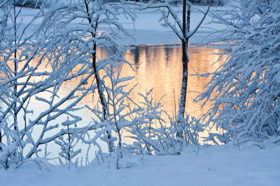 Modalen-24